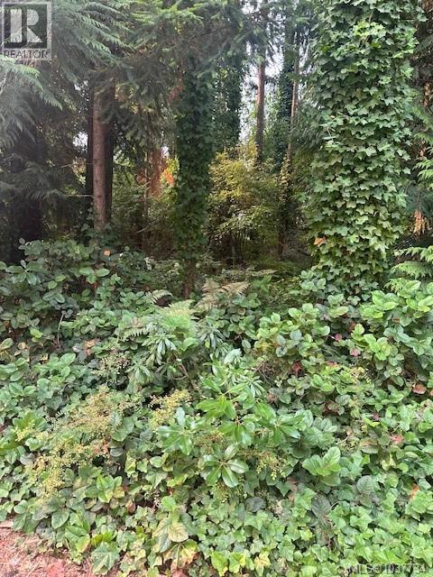 160 Harlech Rd, Qualicum Beach
