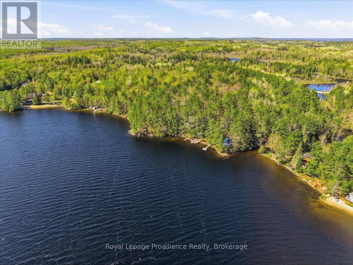 4217 BUCKSHOT LAKE ROAD