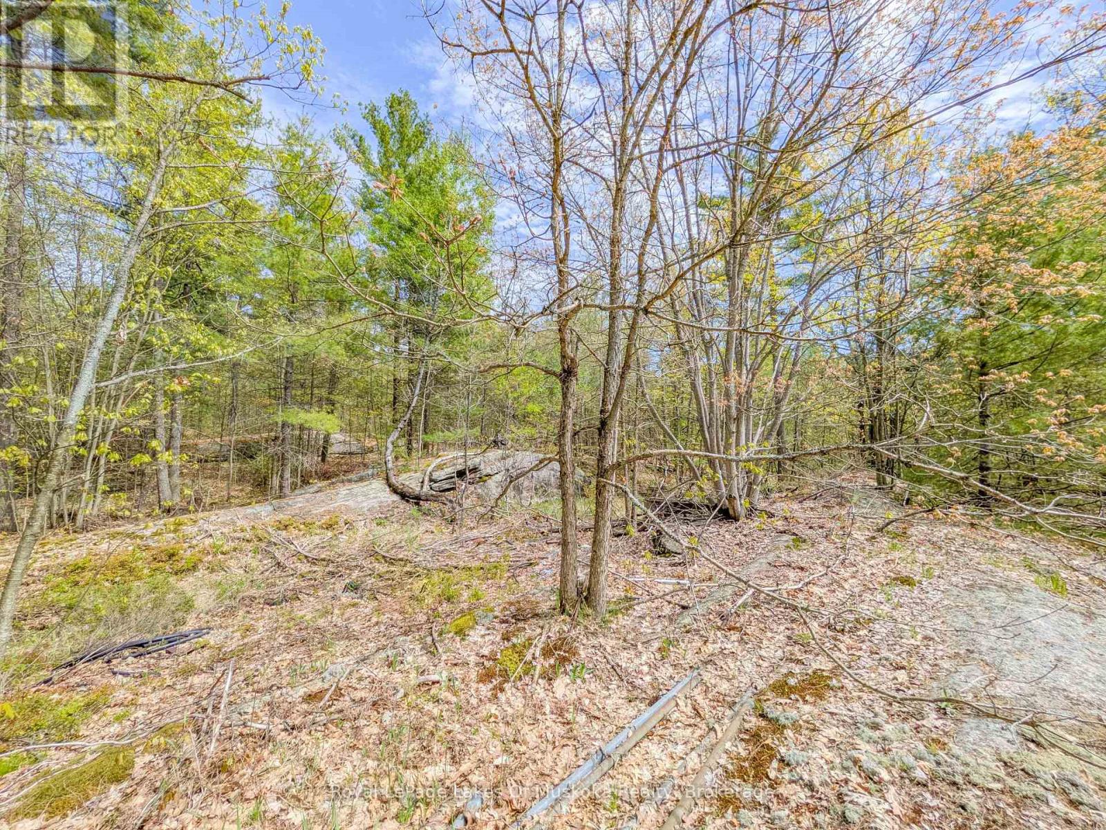 1314 WINHARA ROAD - 45