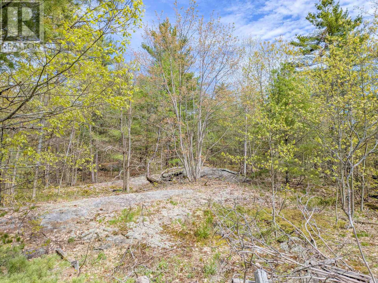 1314 WINHARA ROAD - 46