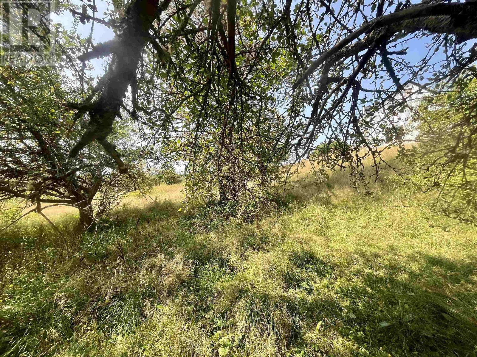 1520 Back Road - 22