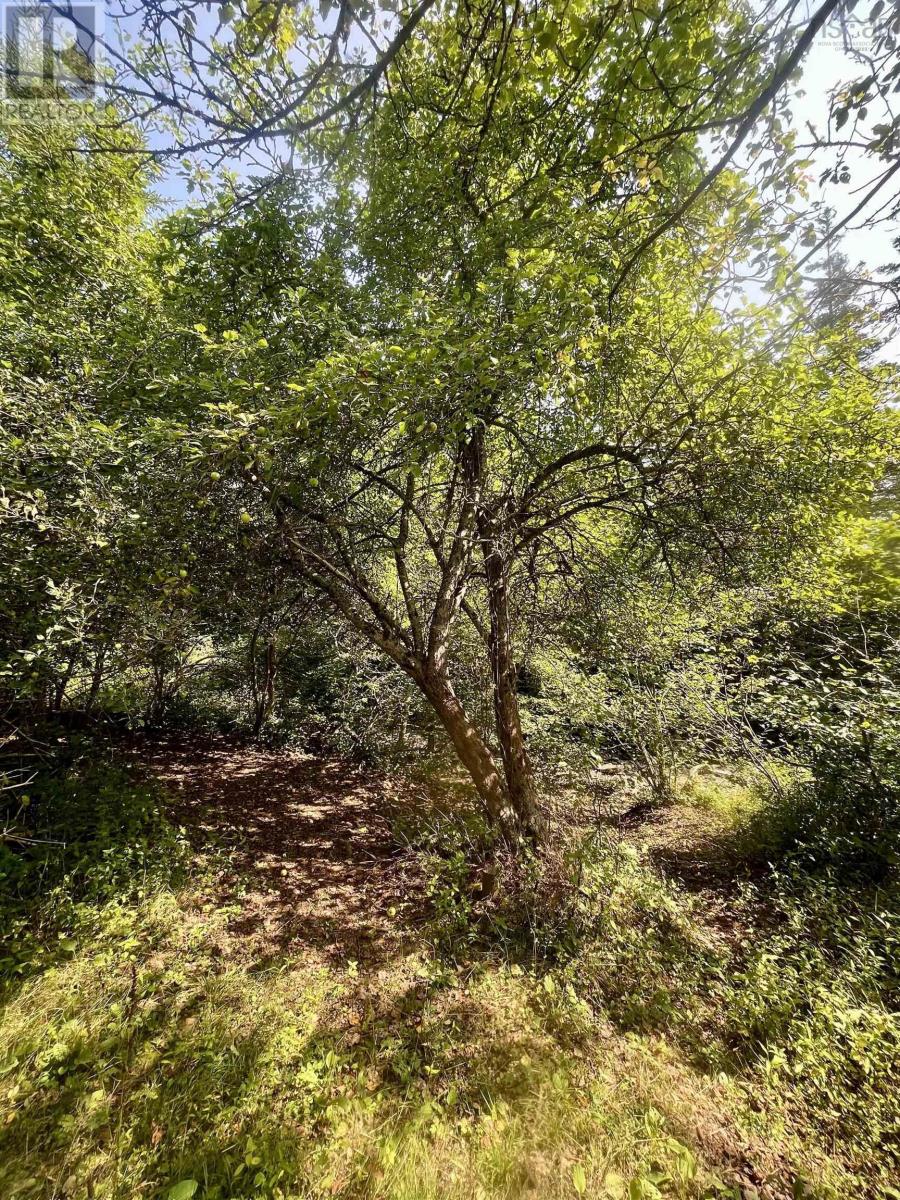 1520 Back Road - 24