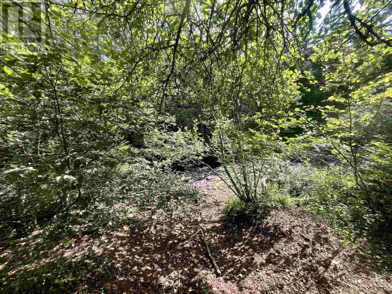 1520 Back Road - 26