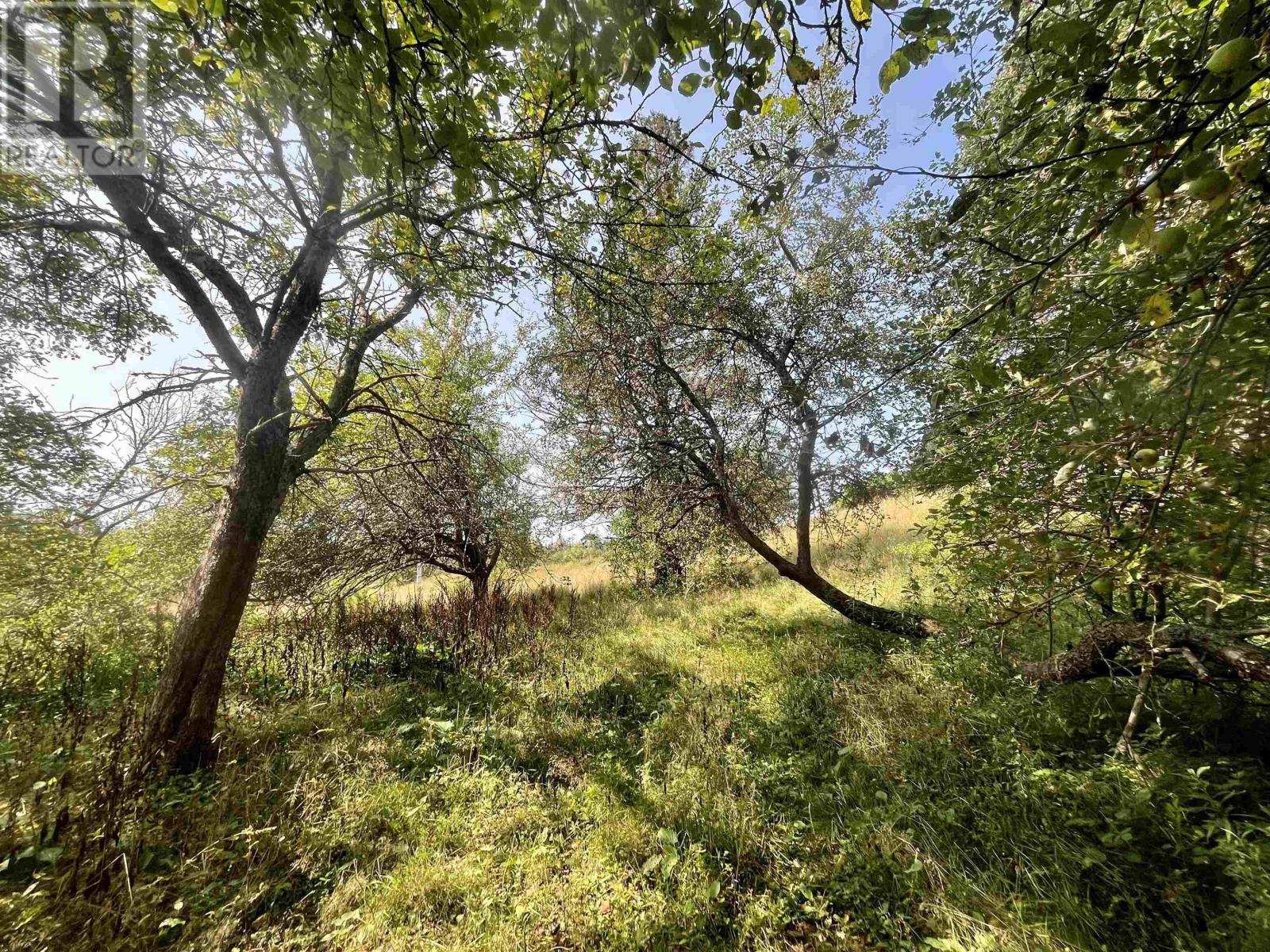 1520 Back Road - 5