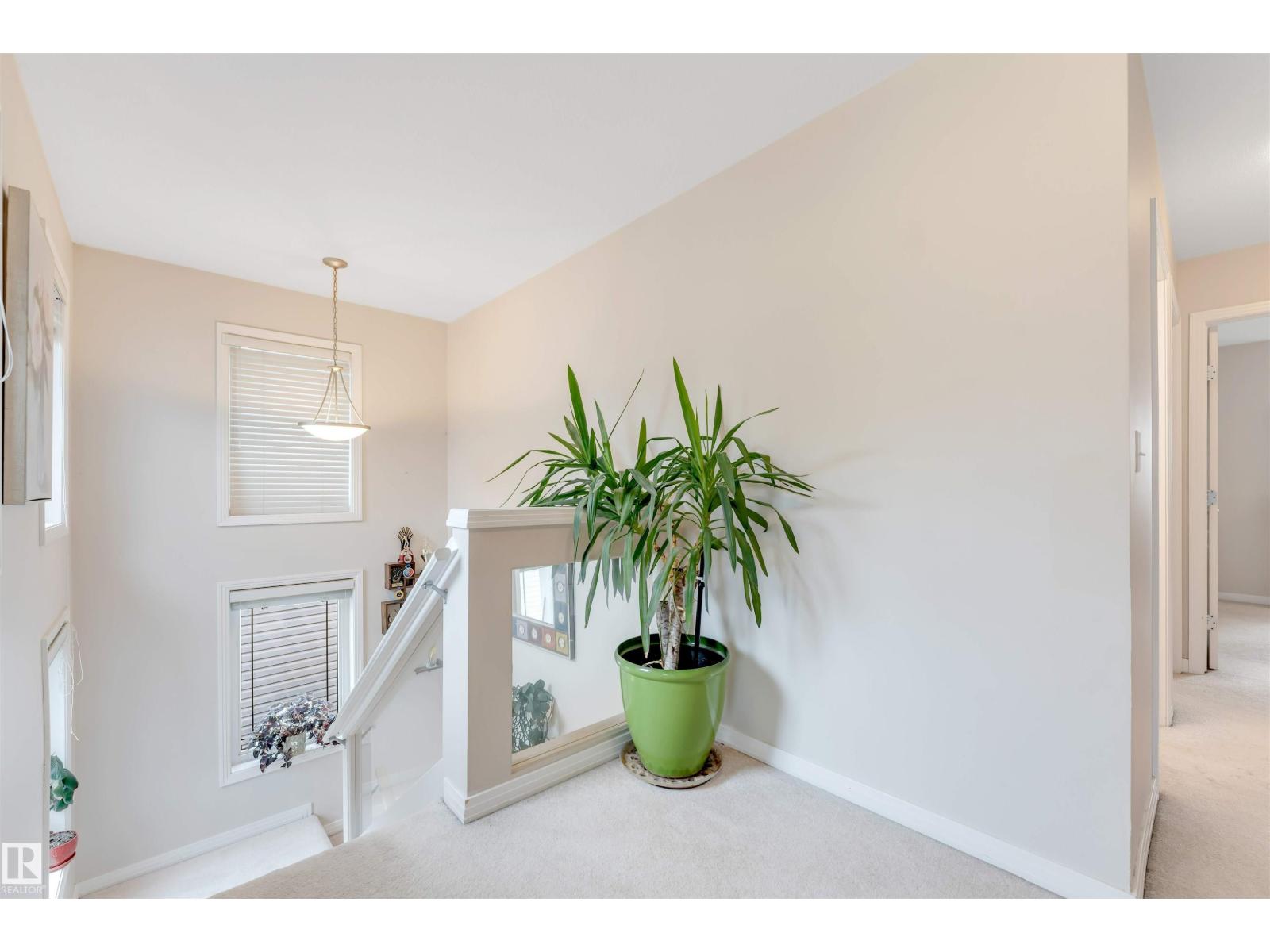 113 ERIN RIDGE DR - 23