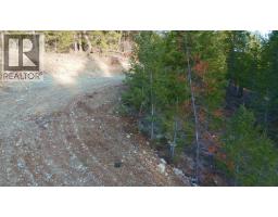 55 Beacon Road, Beaverdell, BC V0H1A0 Photo 15