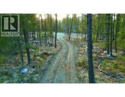 55 Beacon Road, Beaverdell, BC V0H1A0 Photo 25