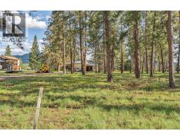 176 Jacobson Rd, Princeton, BC V0X1W0 Photo 41