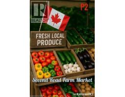 96 Second Road E, Stoney Creek, ON L8J3J2 Photo 8