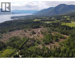944 Guidon Road, Nakusp, BC V0G1R1 Photo 8