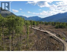 944 Guidon Road, Nakusp, BC V0G1R1 Photo 14