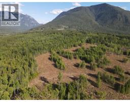 944 Guidon Road, Nakusp, BC V0G1R1 Photo 15