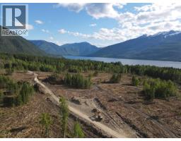 944 Guidon Road, Nakusp, BC V0G1R1 Photo 6