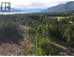 944 Guidon Road, Nakusp, BC V0G1R1 Photo 17