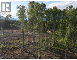944 Guidon Road, Nakusp, BC V0G1R1 Photo 16