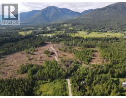 944 Guidon Road, Nakusp, BC V0G1R1 Photo 12