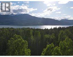 944 Guidon Road, Nakusp, BC V0G1R1 Photo 13