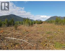 944 Guidon Road, Nakusp, BC V0G1R1 Photo 9