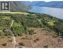 944 Guidon Road, Nakusp, BC V0G1R1 Photo 7