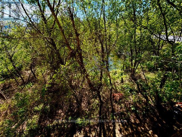 115 TALL PINES PRIVATE - 12