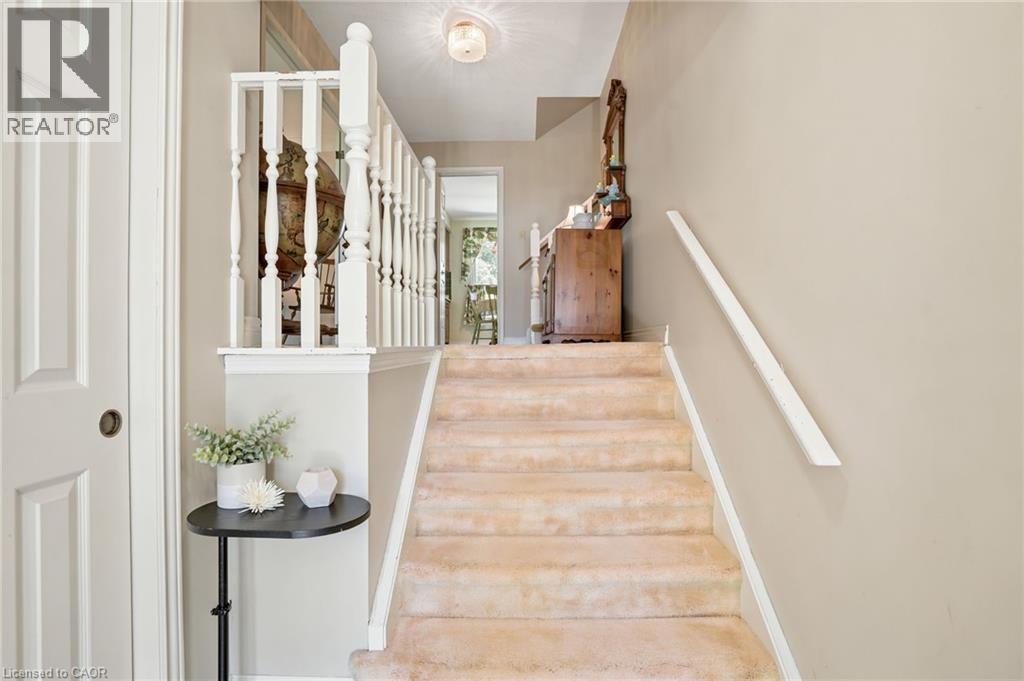 9 MAGNOLIA Court - 5