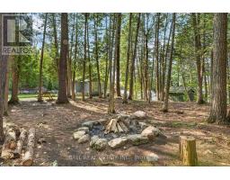 2480 Fire Route 35, Selwyn, ON K0L2H0 Photo 40