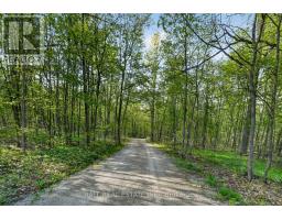 2480 Fire Route 35, Selwyn, ON K0L2H0 Photo 49