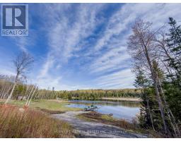 221 Lacourse Lane, Lanark Highlands, ON K0A3L0 Photo 11