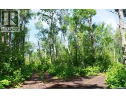 Lot 21 Block 10, Lenore Lake, SK S0K3V0 Photo 19