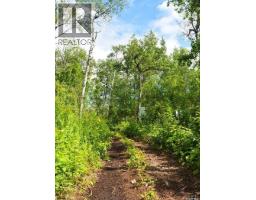 Lot 21 Block 10, Lenore Lake, SK S0K3V0 Photo 21