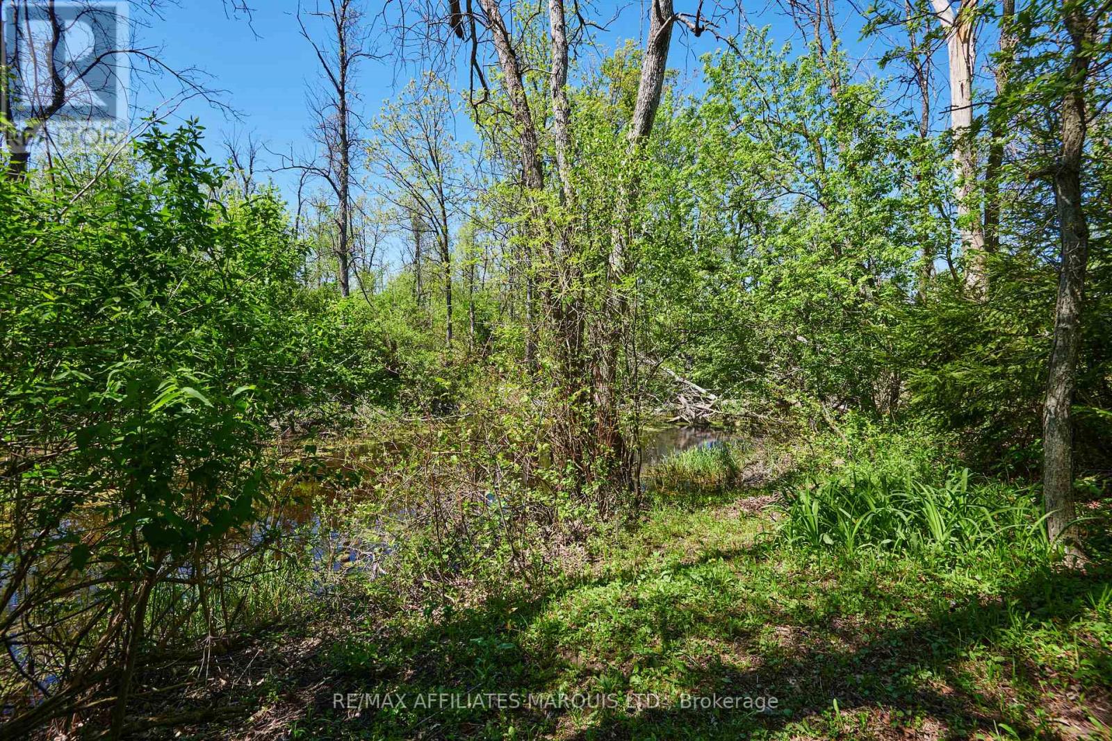 17259 COUNTY 18 ROAD W - 39