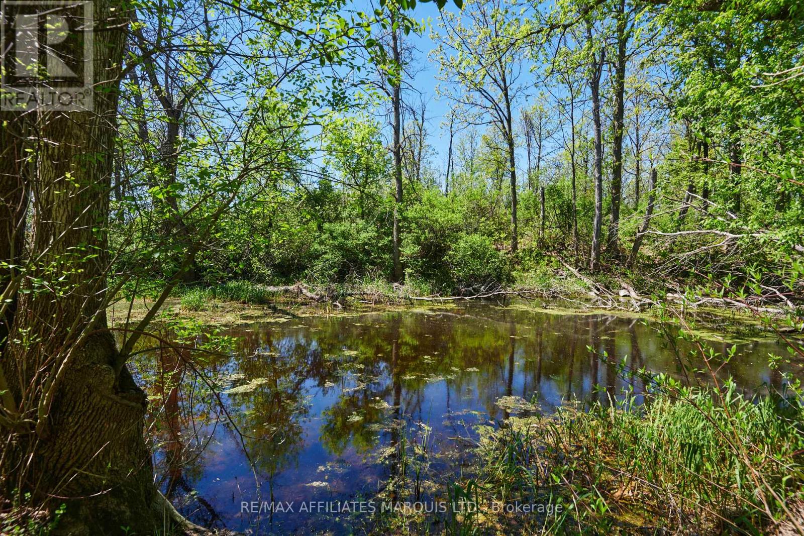 17259 COUNTY 18 ROAD W - 40