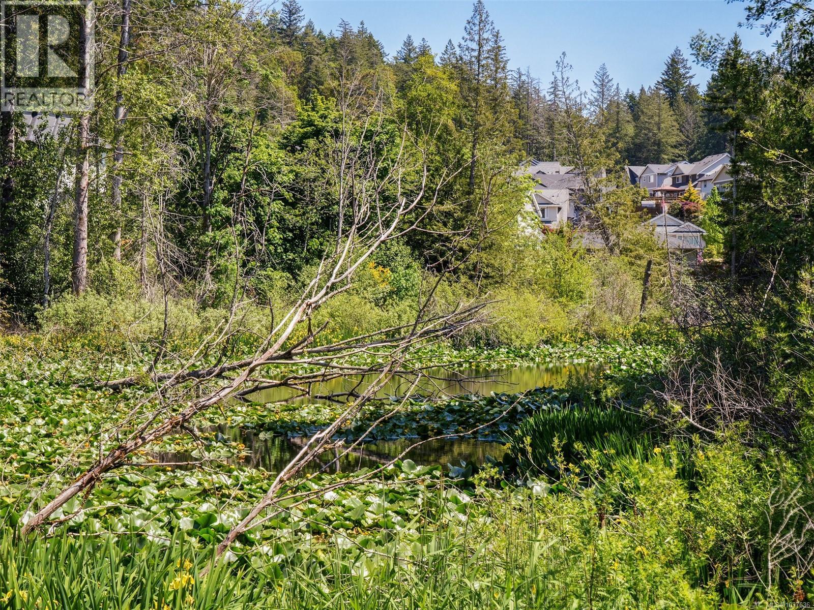 3407 Ambrosia Cres, Langford