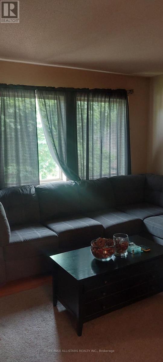 167 WILLIAMSON DRIVE - 8