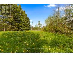 196300 Grey Road 7 Road, Grey Highlands, ON N4L1W7 Photo 7