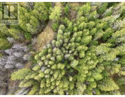 105 Pleasant Creek Drive, Ottawa, ON K0A1L0 Photo 9