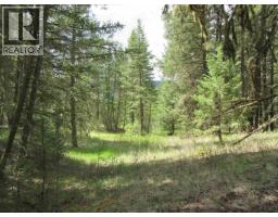 Dl 2808 Donovan Road, Lac La Hache, BC V0K1T0 Photo 14