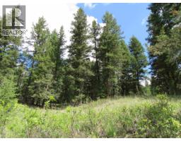 Dl 2808 Donovan Road, Lac La Hache, BC V0K1T0 Photo 7