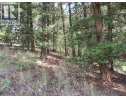 Dl 2808 Donovan Road, Lac La Hache, BC V0K1T0 Photo 10