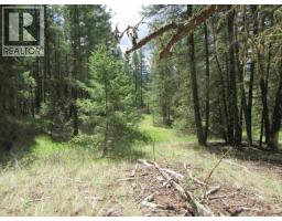 Dl 2808 Donovan Road, Lac La Hache, BC V0K1T0 Photo 13