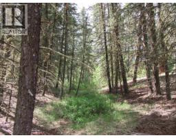 Dl 2808 Donovan Road, Lac La Hache, BC V0K1T0 Photo 15