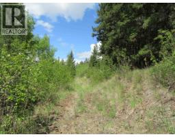 Dl 2808 Donovan Road, Lac La Hache, BC V0K1T0 Photo 9