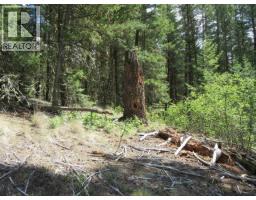 Dl 2808 Donovan Road, Lac La Hache, BC V0K1T0 Photo 12