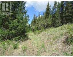Dl 2808 Donovan Road, Lac La Hache, BC V0K1T0 Photo 6
