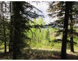 Dl 2808 Donovan Road, Lac La Hache, BC V0K1T0 Photo 11