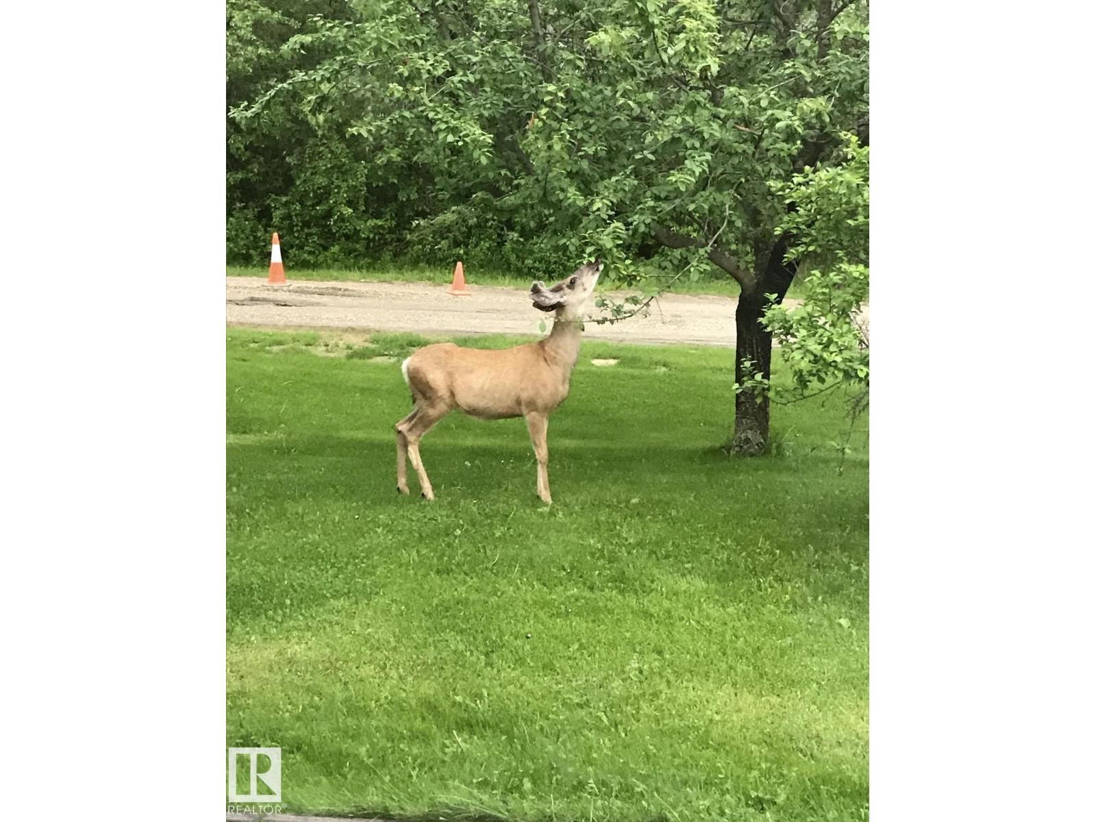 2 Bay Drive - 32