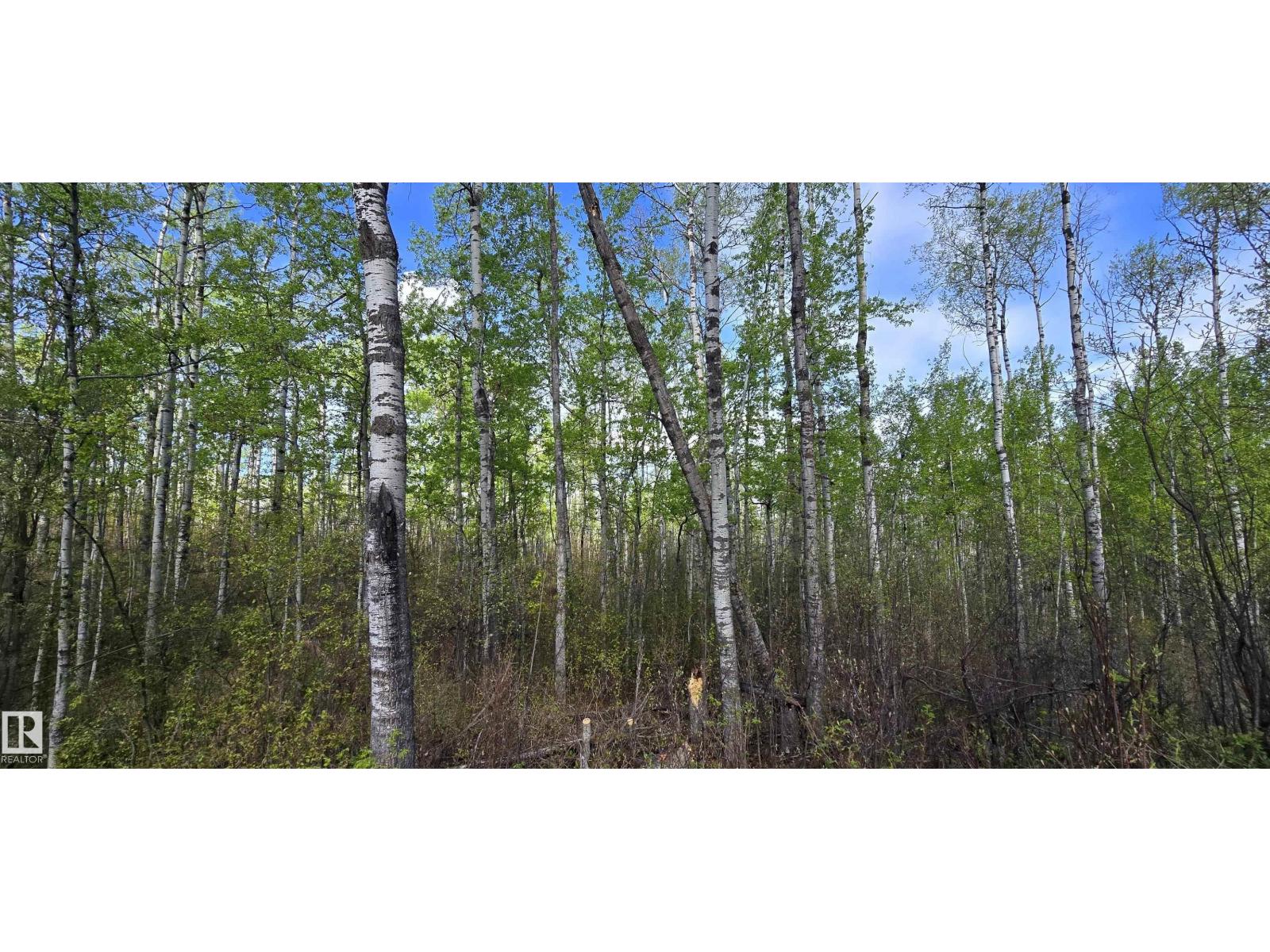 #9&10 59316 RR54 — photo 36