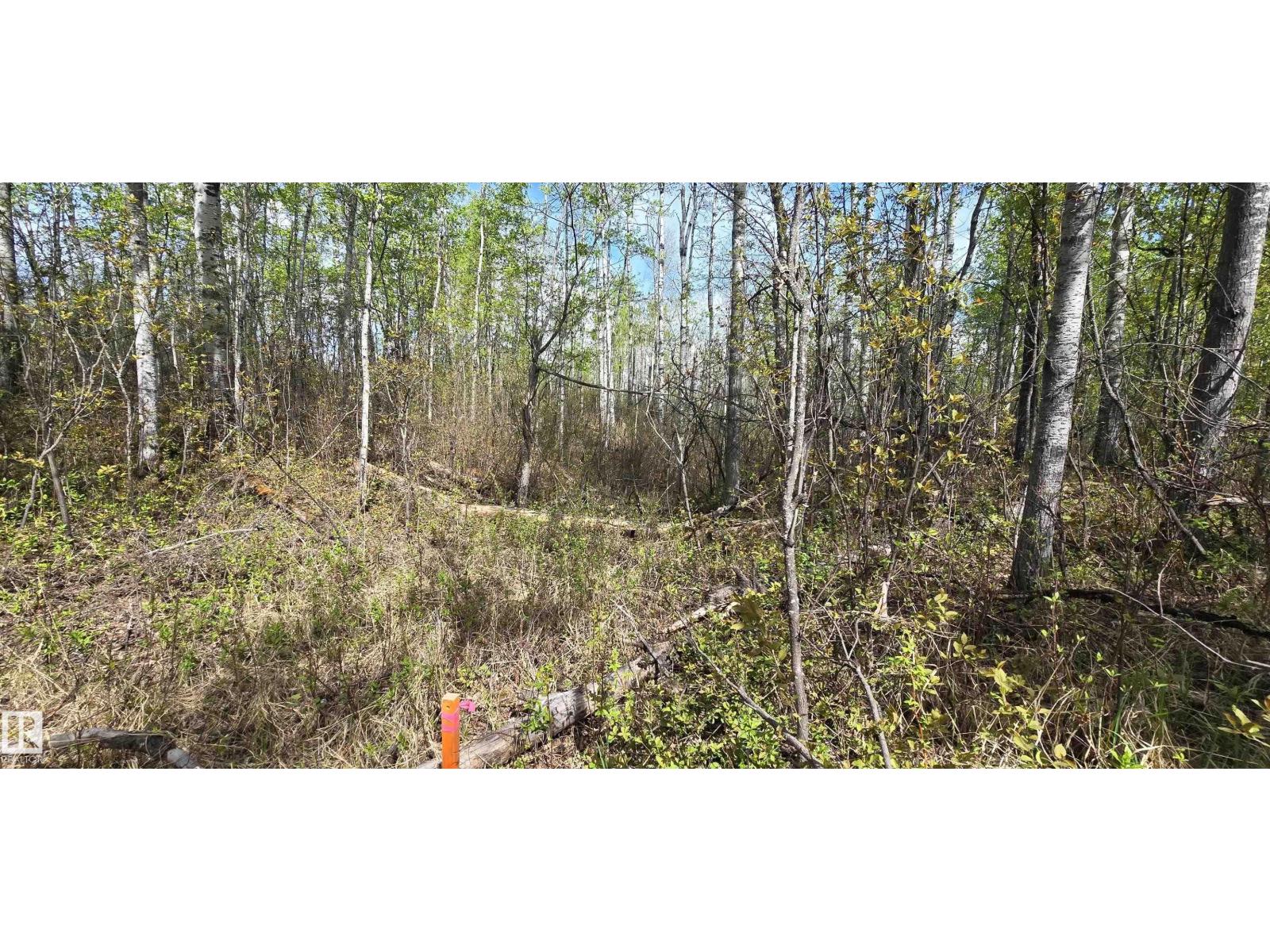 #9&10 59316 RR54 — photo 37