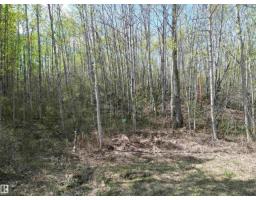 #9&10 59316 RR54, Rural Barrhead County — photo 3