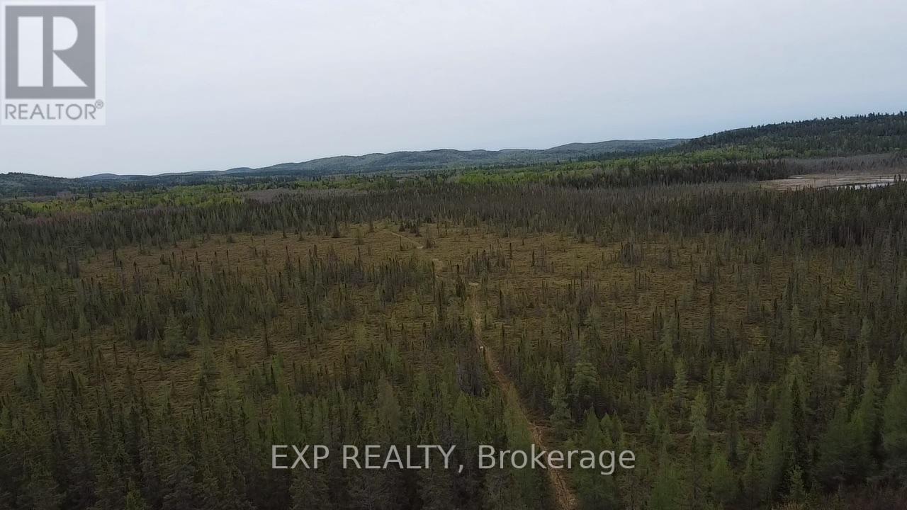 PT LT 3 CEDAR GROVE ROAD - 21